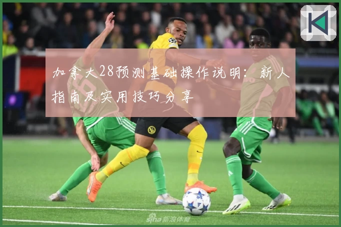 加拿大28预测基础操作说明：新人指南及实用技巧分享