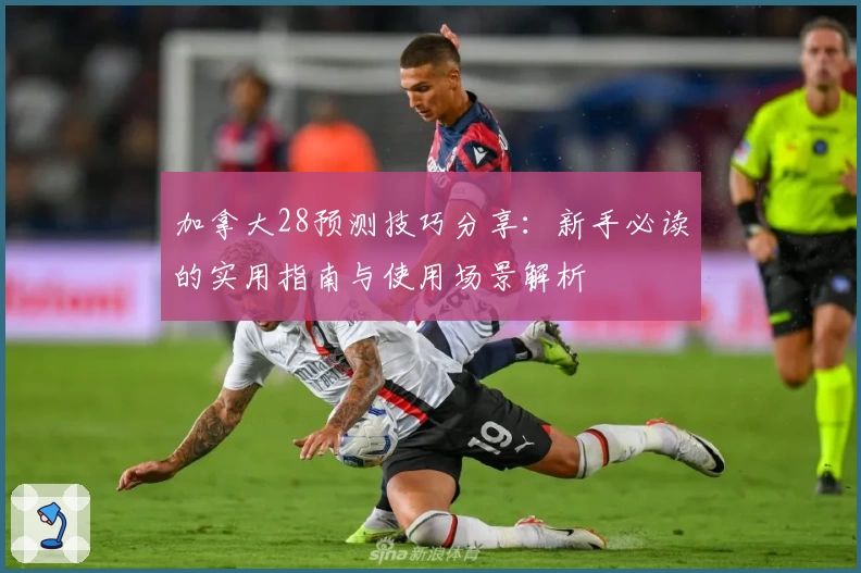 加拿大28预测技巧分享：新手必读的实用指南与使用场景解析