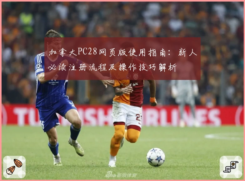 加拿大PC28网页版使用指南：新人必读注册流程及操作技巧解析