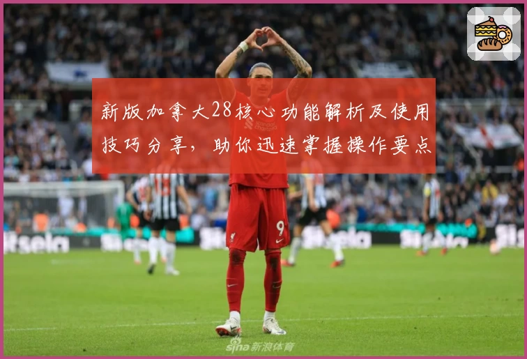 新版加拿大28核心功能解析及使用技巧分享，助你迅速掌握操作要点体验流畅操作