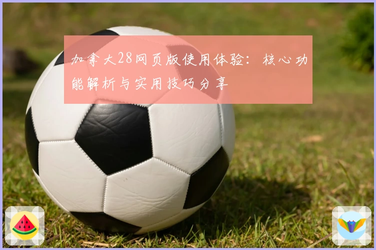 加拿大28网页版使用体验：核心功能解析与实用技巧分享