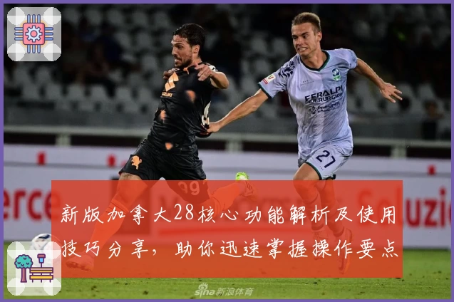 新版加拿大28核心功能解析及使用技巧分享，助你迅速掌握操作要点体验流畅操作