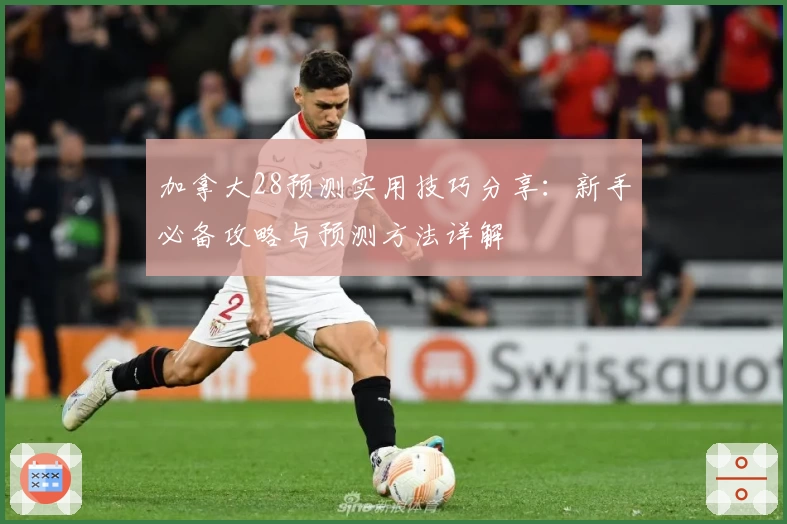 加拿大28预测实用技巧分享：新手必备攻略与预测方法详解