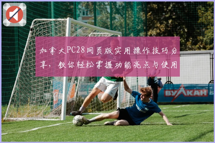 加拿大PC28网页版实用操作技巧分享，教你轻松掌握功能亮点与使用场景