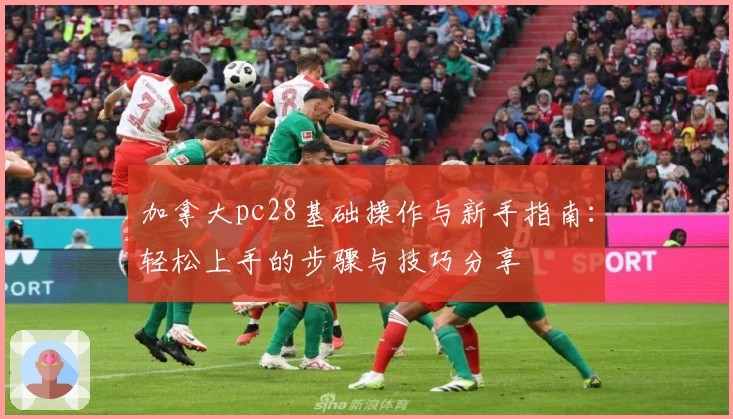 加拿大pc28基础操作与新手指南：轻松上手的步骤与技巧分享