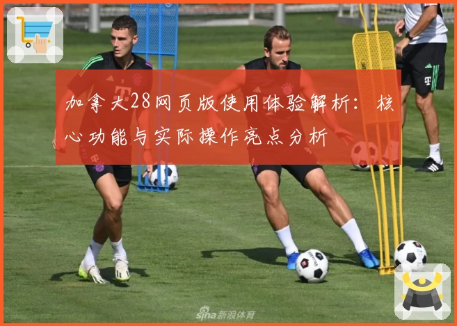 加拿大28网页版使用体验解析：核心功能与实际操作亮点分析