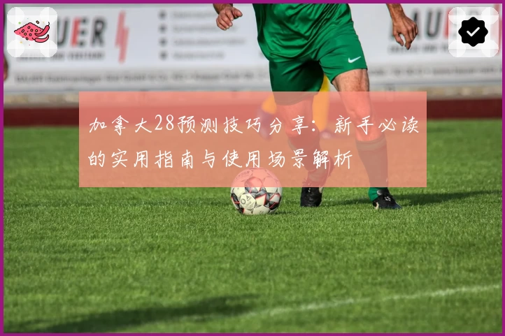 加拿大28预测技巧分享：新手必读的实用指南与使用场景解析