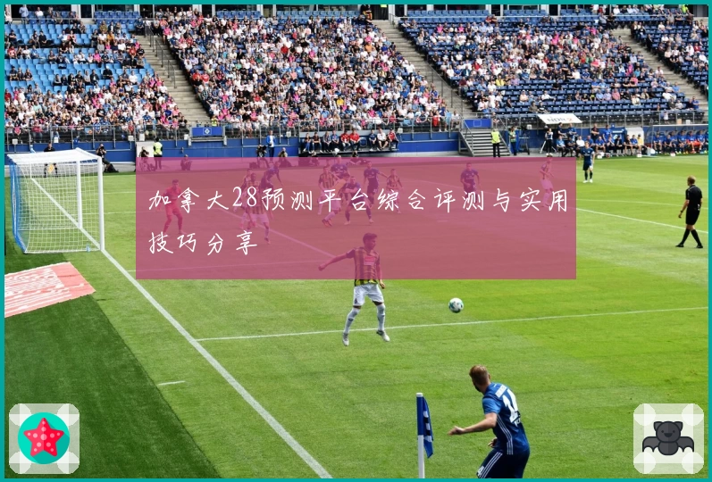 加拿大28预测平台综合评测与实用技巧分享