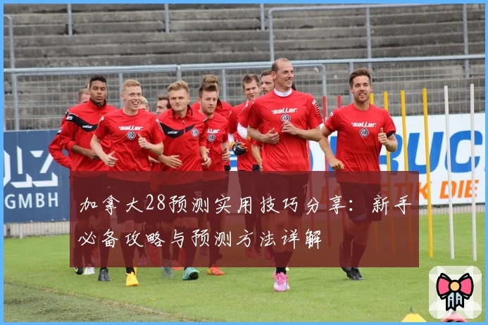加拿大28预测实用技巧分享：新手必备攻略与预测方法详解