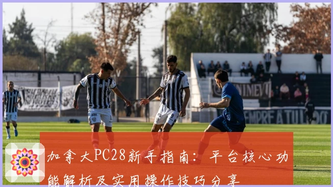 加拿大PC28新手指南：平台核心功能解析及实用操作技巧分享