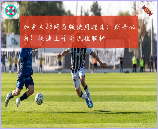 加拿大28网页版使用指南：新手必看！快速上手全流程解析