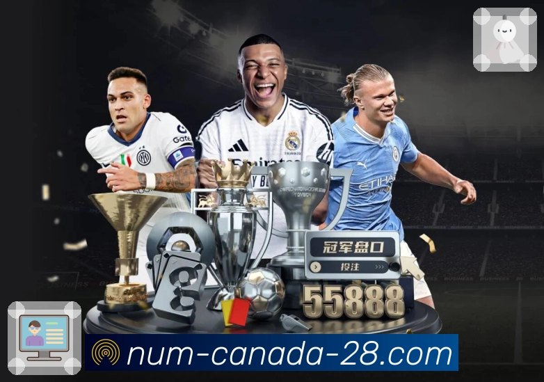 下载加拿大28APP，体验焕然一新的操作界面